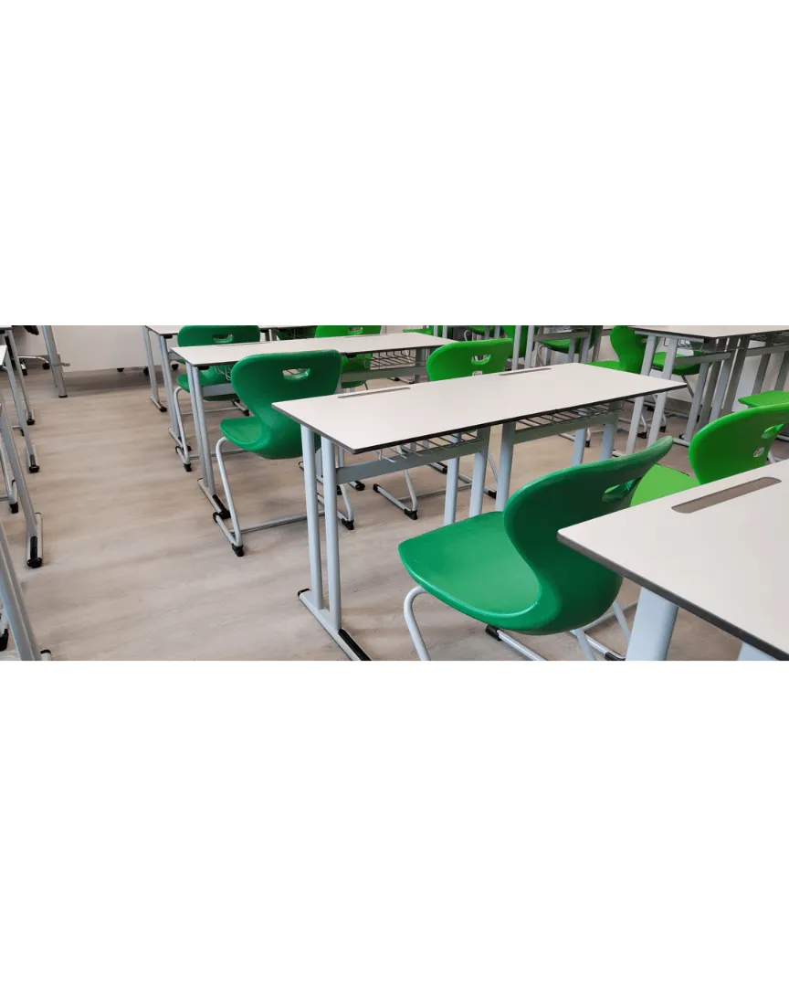 Nereguliuojamo aukščio vienvietis stalas GALAXY - Pikade School
